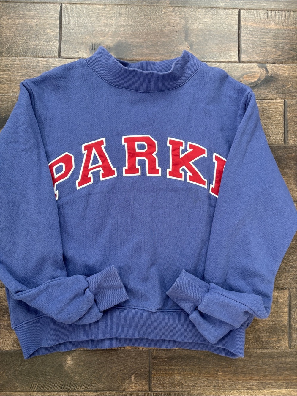 Blue 'PARKE’ Graphic Mock Neck Sweater